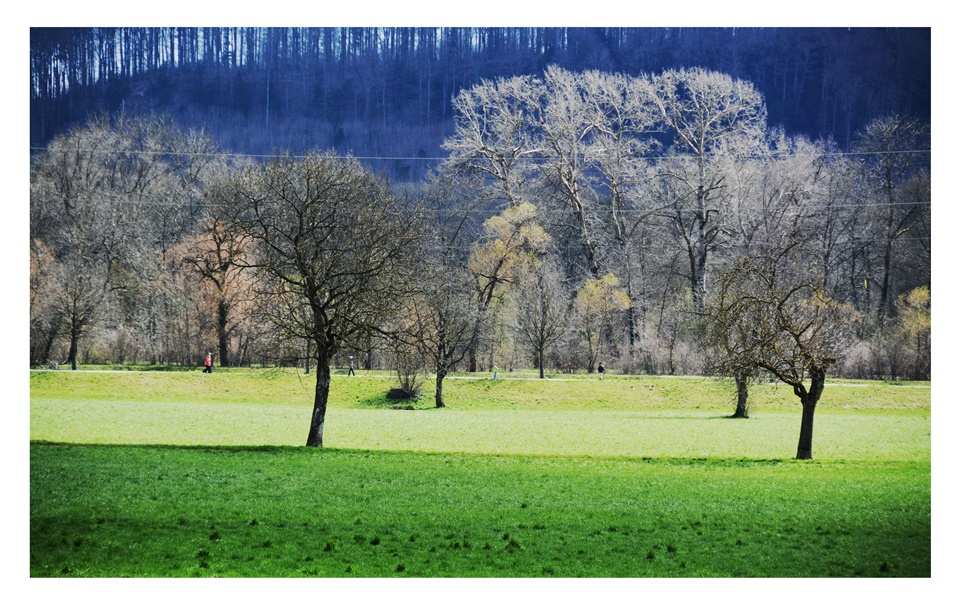 Erlinsbach-Erzbach-Hügellandschaft-Fotografie (5)